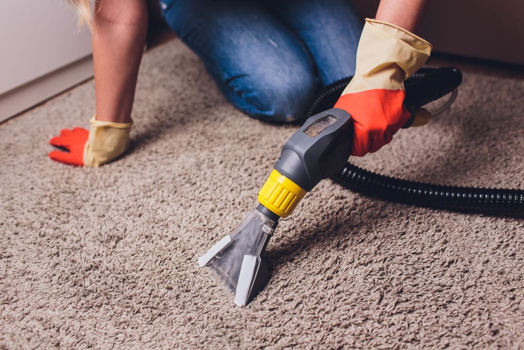 Person vacuuming the carpet